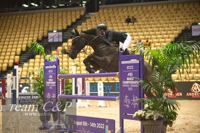 Jydske bank box
VM HERNING 2022 CSI3 Big Tour 1.45m
Nøgleord: solveig fotland newermann;ballerina