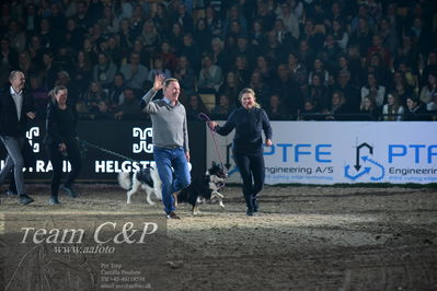 Jydske bank box
galashow
Nøgleord: ib kirk;hundeagilty