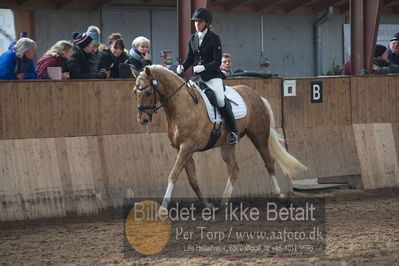 Hingstekåring i Grindsted Rideklub
Nøgleord: armani h;jeanette laursen