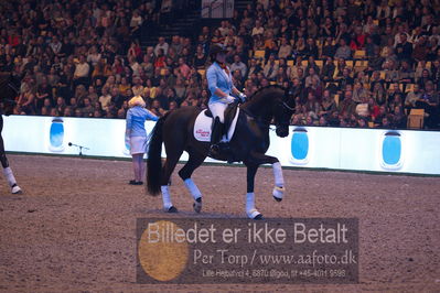 Dansk varmblod hingstekåring.
galashow
