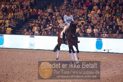 Dansk varmblod hingstekåring.
galashow
