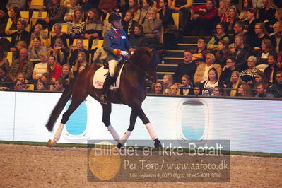 Dansk varmblod hingstekåring.
galashow
