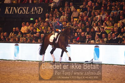 Dansk varmblod hingstekåring.
galashow
