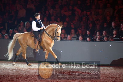 Dansk varmblod hingstekåring.
galashow
