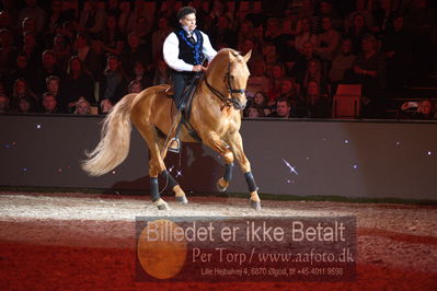 Dansk varmblod hingstekåring.
galashow
