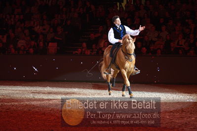 Dansk varmblod hingstekåring.
galashow
