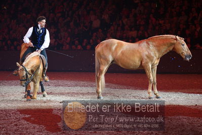 Dansk varmblod hingstekåring.
galashow
