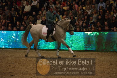 Dansk varmblod hingstekåring.
galashow
