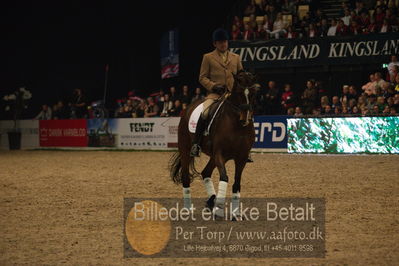 Dansk varmblod hingstekåring.
galashow
