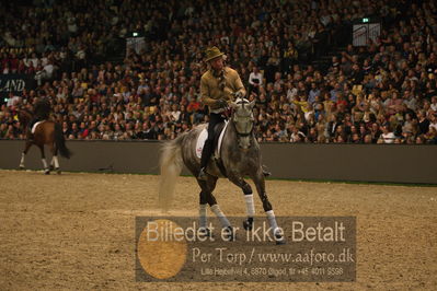 Dansk varmblod hingstekåring.
galashow
