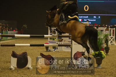 Dansk varmblod hingstekåring.
galashow
