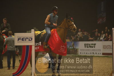 Dansk varmblod hingstekåring.
galashow
