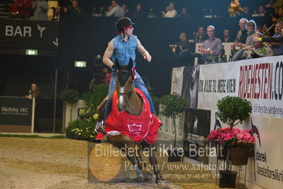 Dansk varmblod hingstekåring.
galashow
