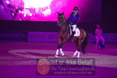 Dansk varmblod hingstekåring.
galashow
