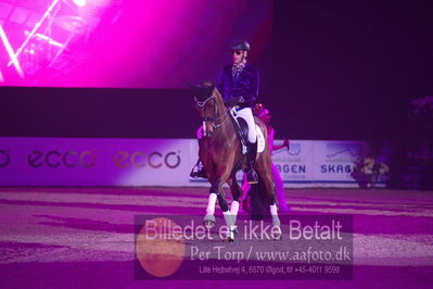 Dansk varmblod hingstekåring.
galashow
