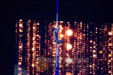 Dansk varmblod hingstekåring.
galashow
