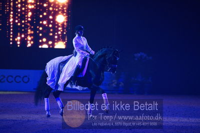 Dansk varmblod hingstekåring.
galashow
