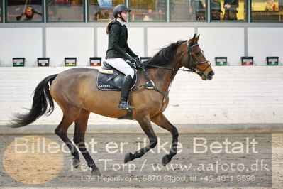 Fredericia Rideklub
Sprngstævne for hest
Nøgleord: dicte dorothea svhnedler sundahl;carmen