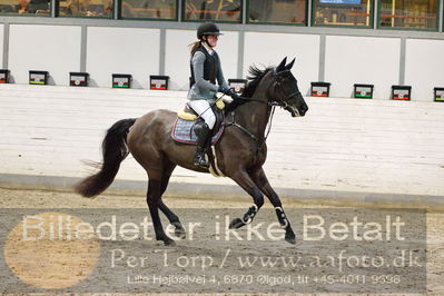 Fredericia Rideklub
Sprngstævne for hest
Nøgleord: camilla mortensen;sandro girl