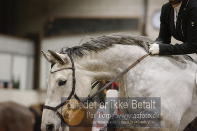 Fredericia Rideklub
Sprngstævne for hest
Nøgleord: nanna jong villumsen;teglvangs casmina jong