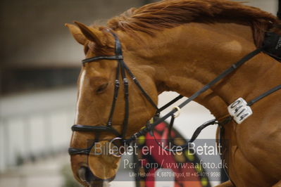 Fredericia Rideklub
Sprngstævne for hest
Nøgleord: jeff paw nielsen;dee jay lindeberg dwb