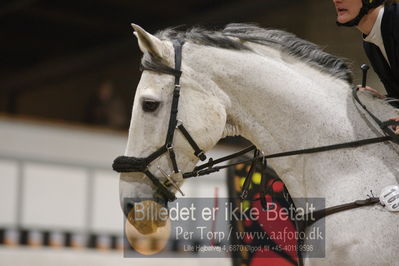 Fredericia Rideklub
Sprngstævne for hest
Nøgleord: helle møller;louisiana