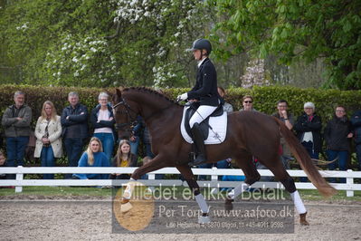 benthus 2019
Billeder fra åbenthus
Nøgleord: duke sofie l christinsen