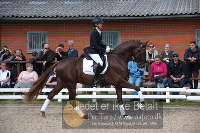 benthus 2019
Billeder fra åbenthus
Nøgleord: duke sofie l christinsen