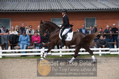 benthus 2019
Billeder fra åbenthus
Nøgleord: duke sofie l christinsen