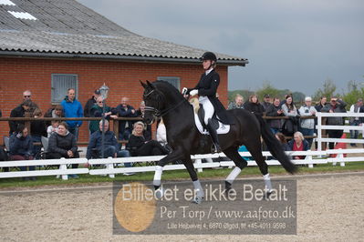 benthus 2019
Billeder fra åbenthus
Nøgleord: freestyle;mette riisager