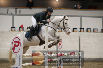 B - Stævne spring
Ponylandsstæne
Nøgleord: fie gajhede olensen;prince of all champions