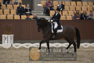 Blue Hors Dressur Festival 2018
Billeder fra stævnet
Nøgleord: mikaela fabricius-bjerre;bellisimo l