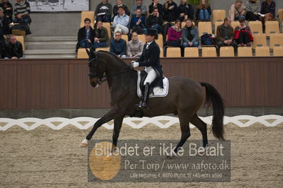 Blue Hors Dressur Festival 2018
Billeder fra stævnet
Nøgleord: mikaela fabricius-bjerre;bellisimo l