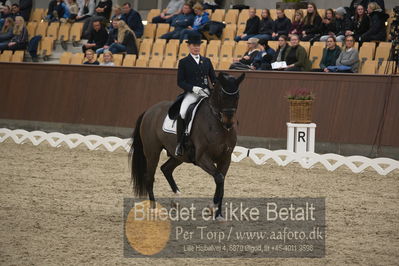 Blue Hors Dressur Festival 2018
Billeder fra stævnet
Nøgleord: mikaela fabricius-bjerre;bellisimo l