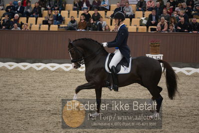 Blue Hors Dressur Festival 2018
Billeder fra stævnet
Nøgleord: daniel bachmann andersen;blue hors don olymbrio