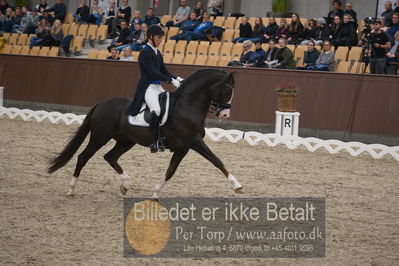 Blue Hors Dressur Festival 2018
Billeder fra stævnet
Nøgleord: daniel bachmann andersen;blue hors don olymbrio