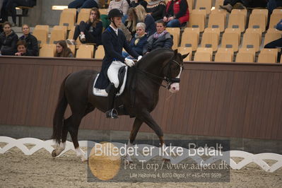 Blue Hors Dressur Festival 2018
Billeder fra stævnet
Nøgleord: daniel bachmann andersen;blue hors don olymbrio