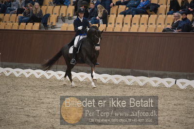 Blue Hors Dressur Festival 2018
Billeder fra stævnet
Nøgleord: daniel bachmann andersen;blue hors don olymbrio