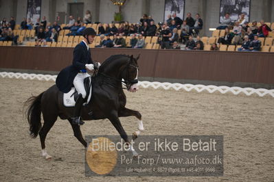 Blue Hors Dressur Festival 2018
Billeder fra stævnet
Nøgleord: daniel bachmann andersen;blue hors don olymbrio