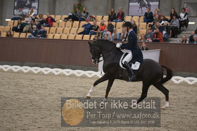 Blue Hors Dressur Festival 2018
Billeder fra stævnet
Nøgleord: daniel bachmann andersen;blue hors don olymbrio