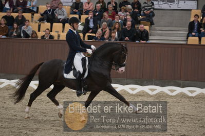 Blue Hors Dressur Festival 2018
Billeder fra stævnet
Nøgleord: daniel bachmann andersen;blue hors don olymbrio