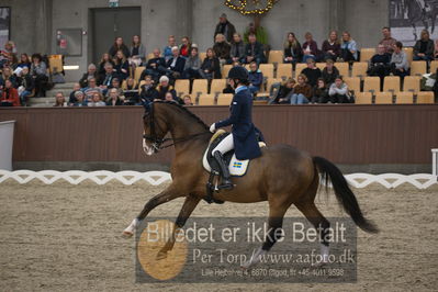 Blue Hors Dressur Festival 2018
Billeder fra stævnet
Nøgleord: minna telde;isac