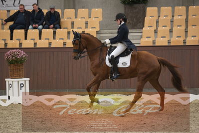 Ecco Cup Finaler 2019
Junior, u18
Nøgleord: cecilie hedegaard;silhuet