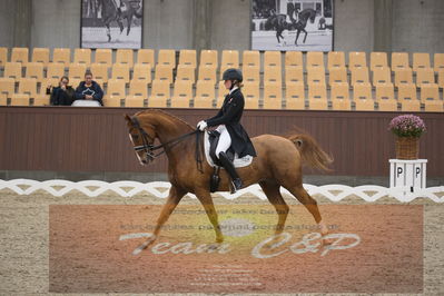 Ecco Cup finaler 2019
youngrider, u18
Nøgleord: laura j rasmussen;toftens dornier