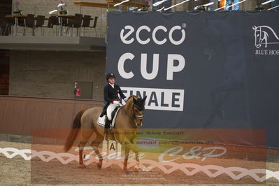 Ecco Cup finaler 2019
youngrider, u18
Nøgleord: sara van deurs petersen;katholm's ronaldo