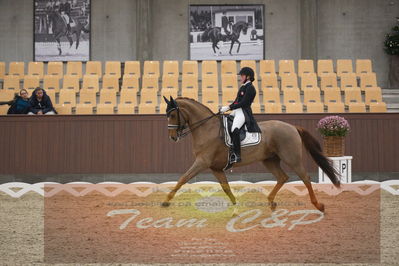 Ecco Cup finaler 2019
youngrider, u18
Nøgleord: sara van deurs petersen;katholm's ronaldo