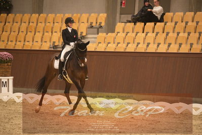 Ecco Cup finaler 2019
youngrider, u18
Nøgleord: karoline rohmann;jakas don louvre