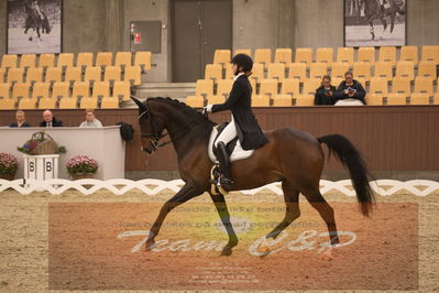 Ecco Cup finaler 2019
youngrider, u18
Nøgleord: karoline rohmann;jakas don louvre