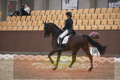 Ecco Cup finaler 2019
youngrider, u18
Nøgleord: sophia ludvigsen;safari klintgaard