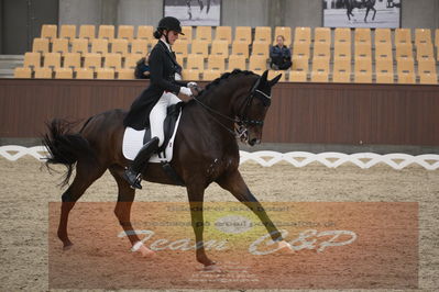 Ecco Cup finaler 2019
youngrider, u18
Nøgleord: sophia ludvigsen;safari klintgaard